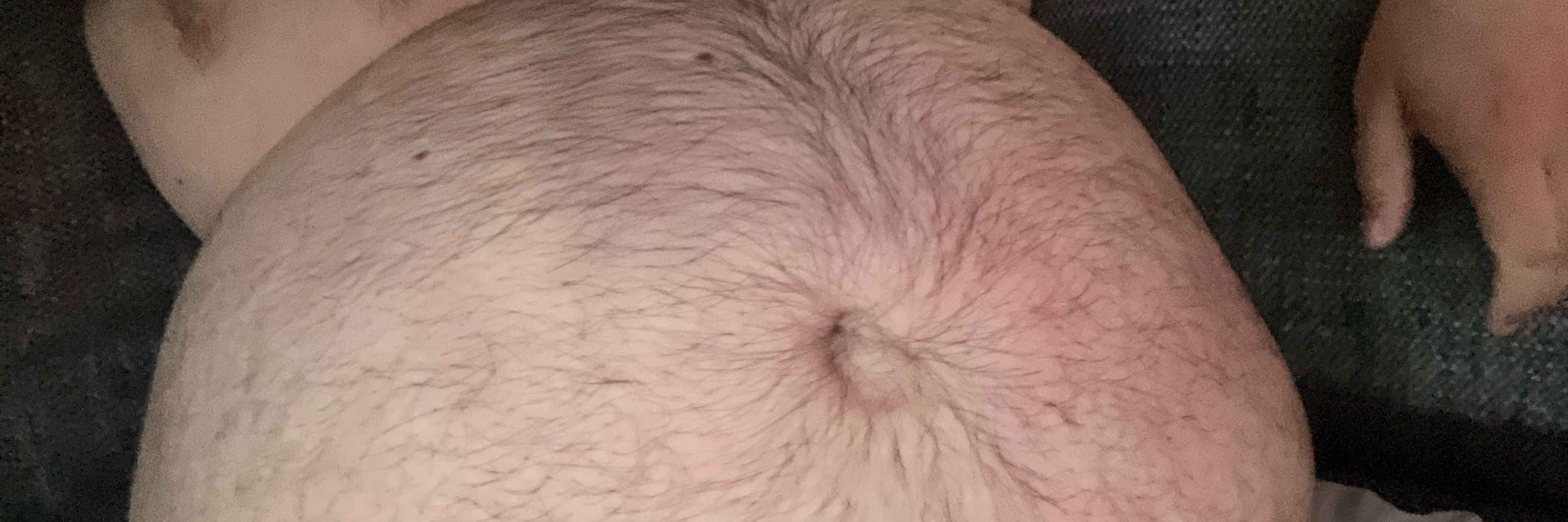 ChinstrapBear