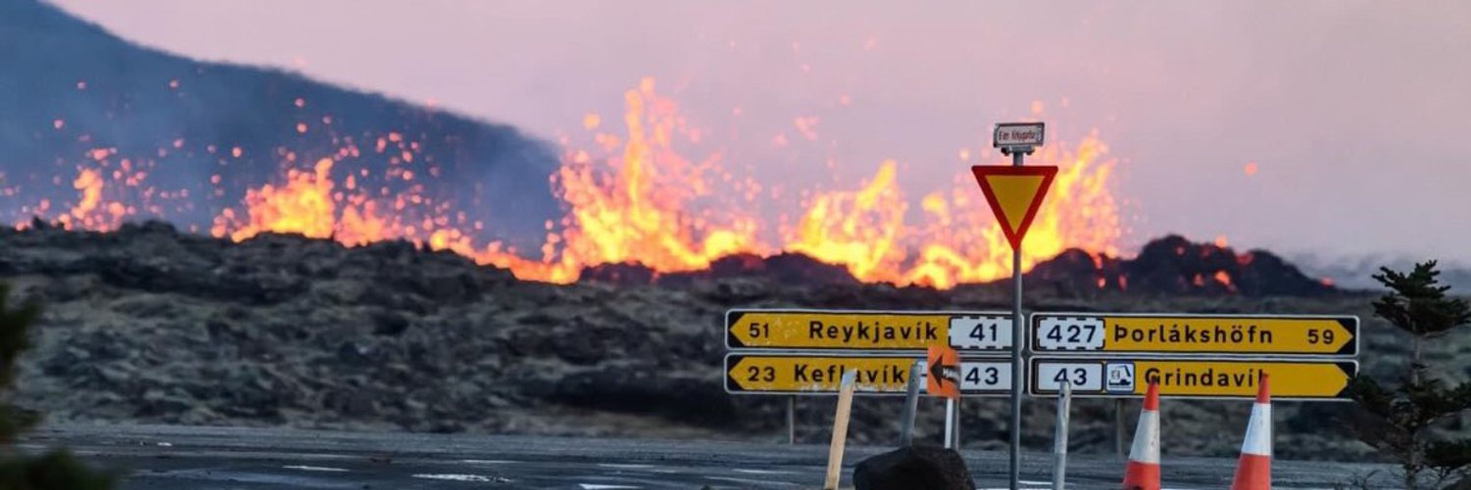 Söguhetja📯Mjölnir og verndararnir fjórir🐃🦅🐉🪠