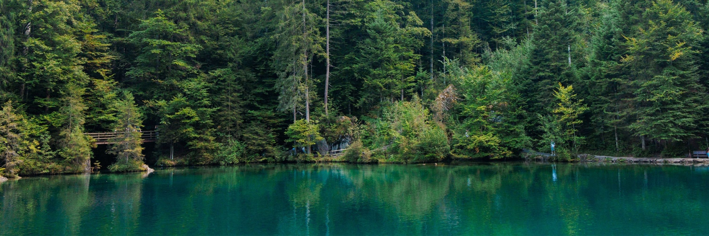 Fãbio