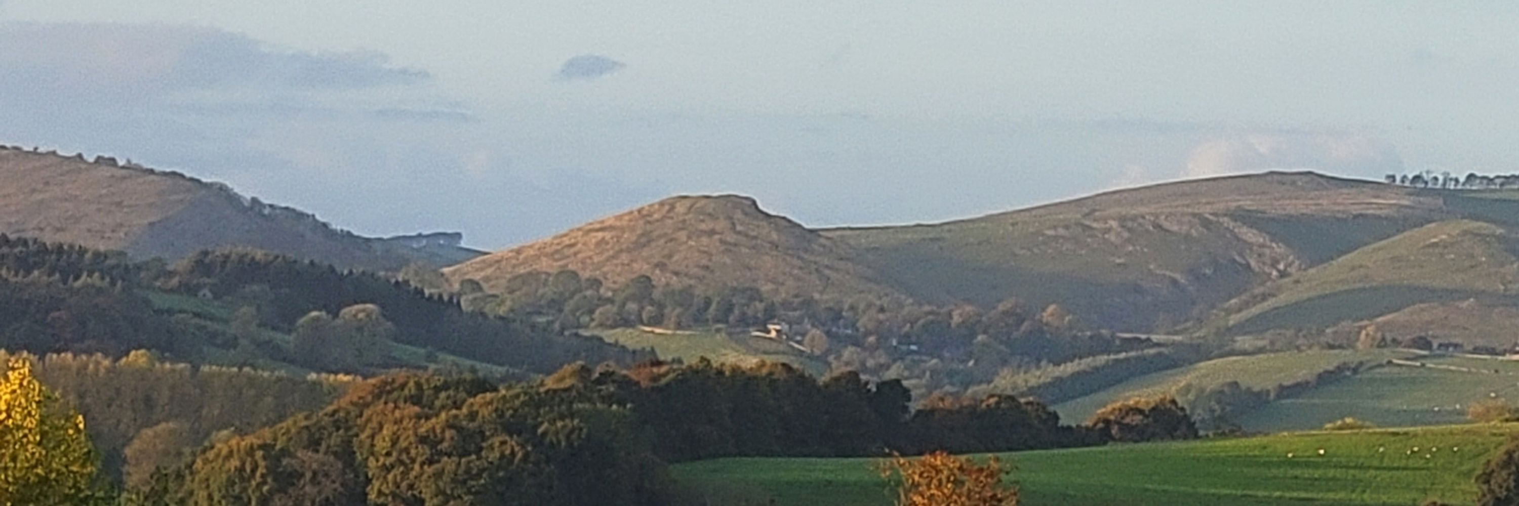 Dawn H