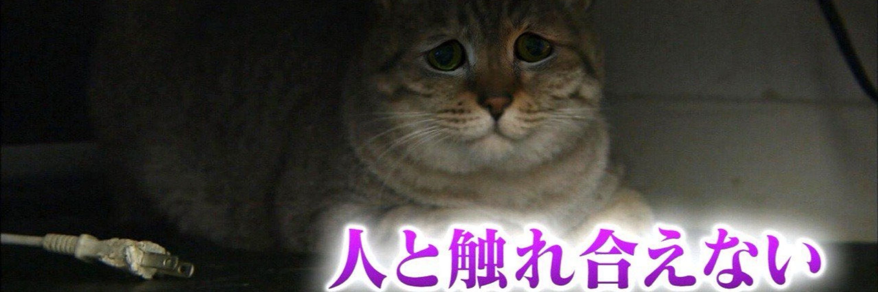 そるが
