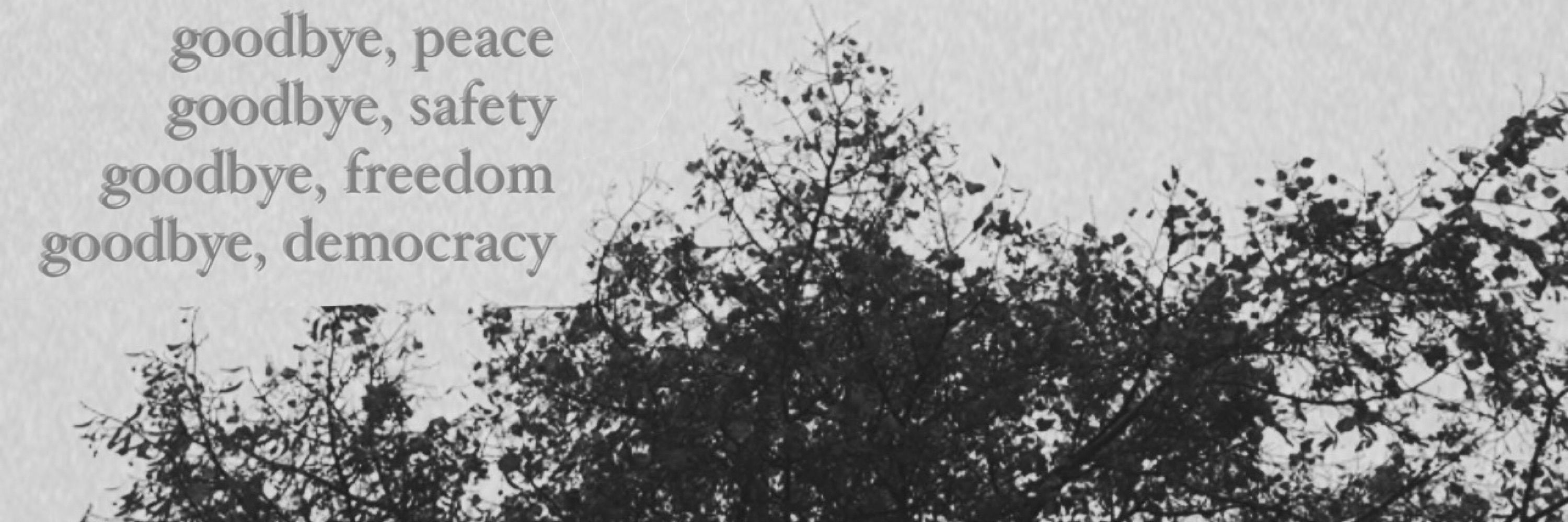 𝐤𝐩🌻🍂