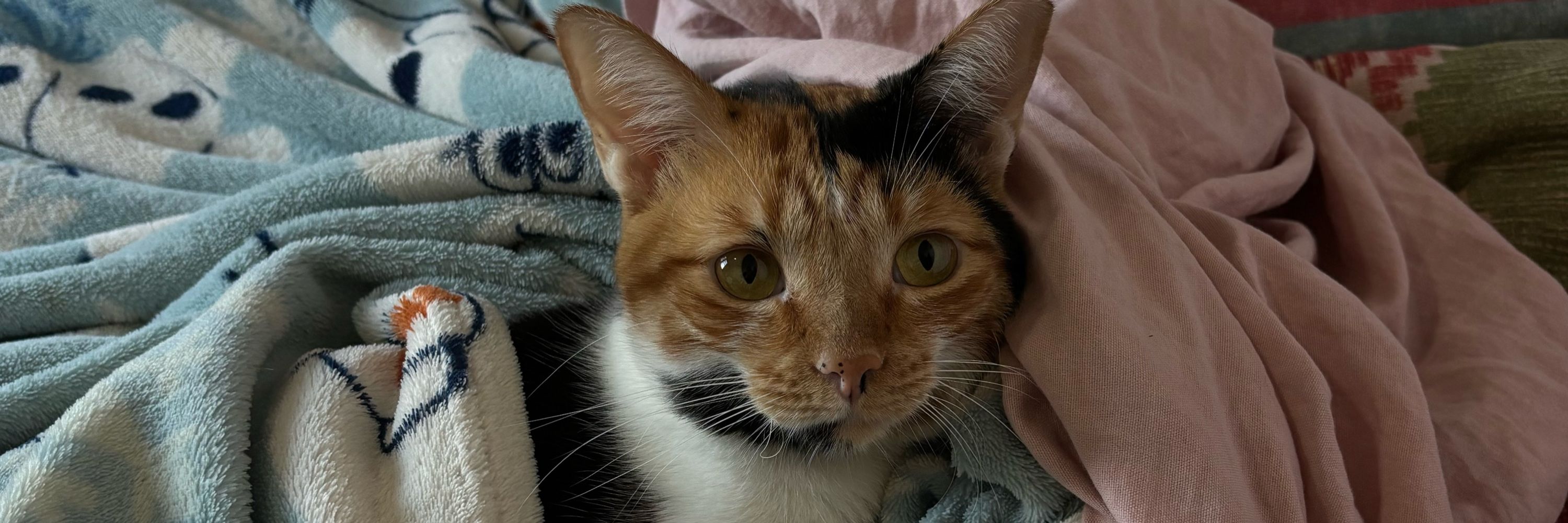 𝒜𝓃𝒶 💞
