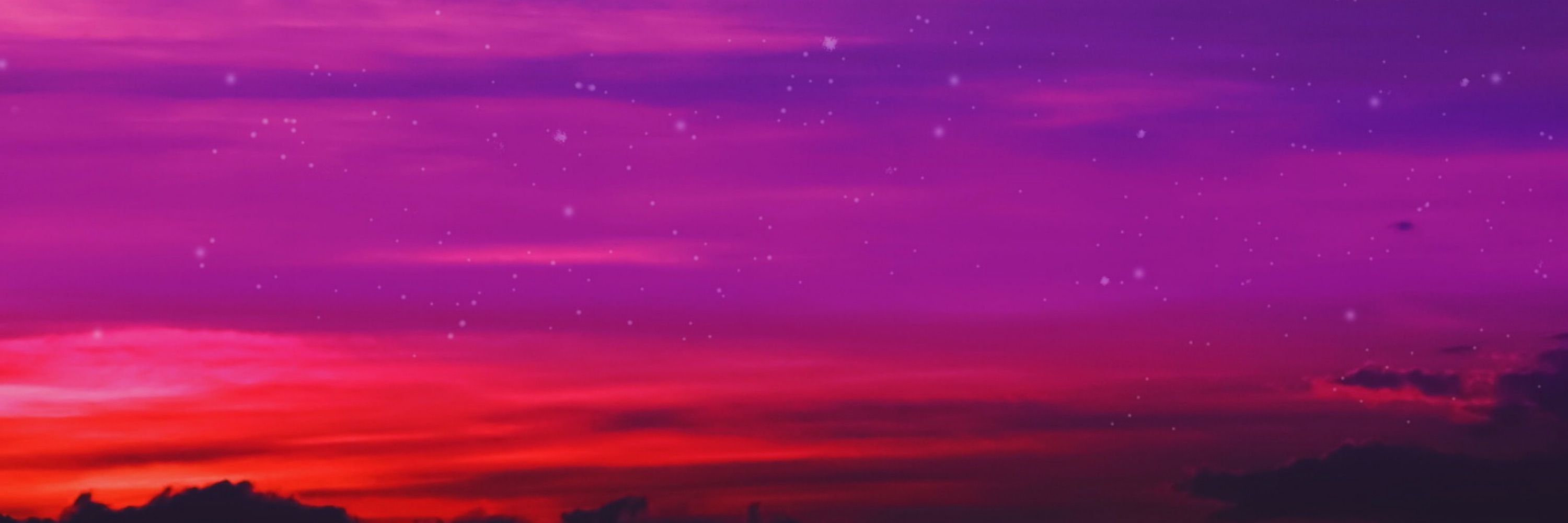Violet🐘