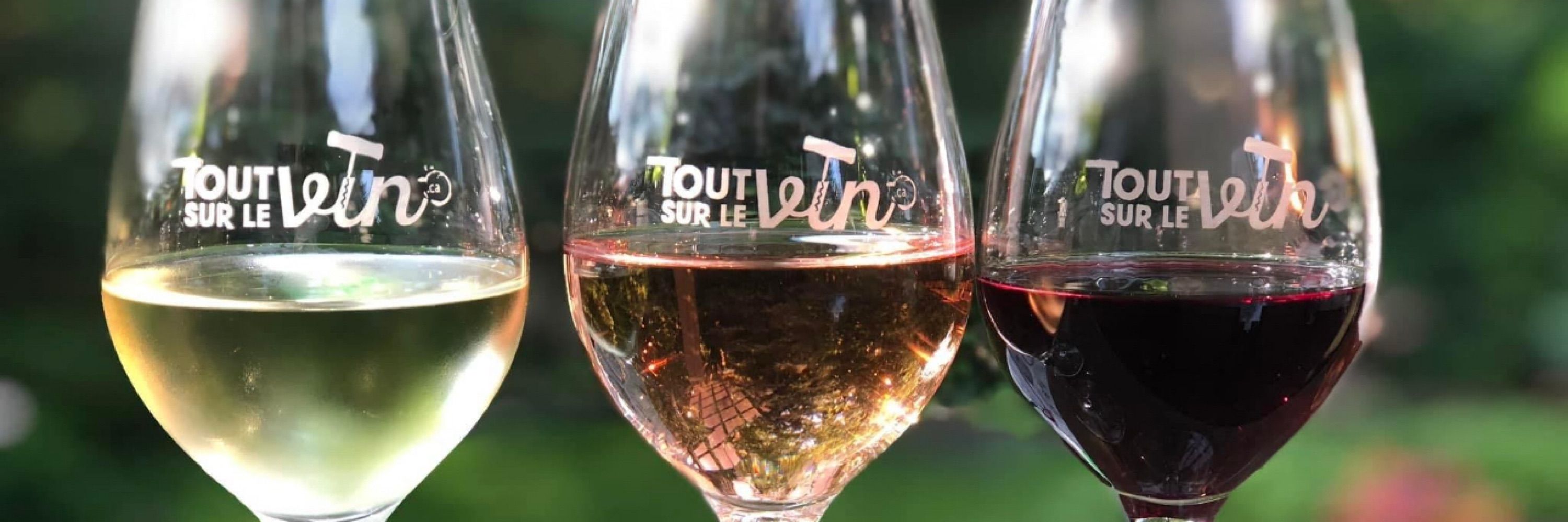 Tout sur le Vin 🍷