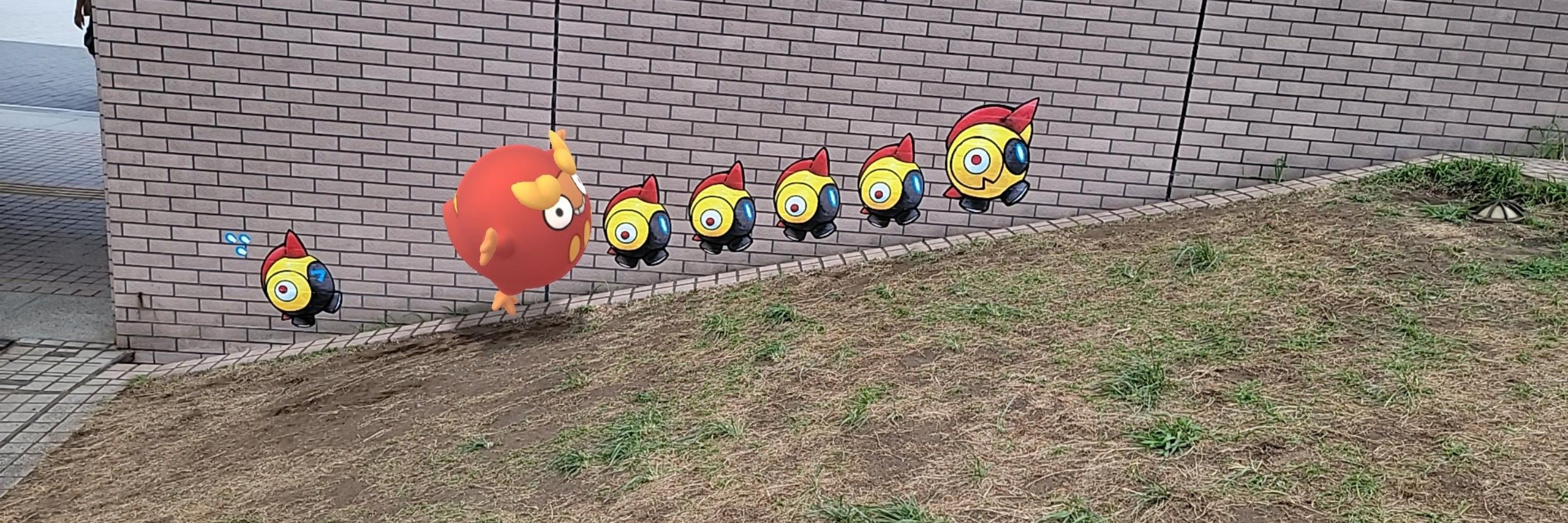 ダルマ