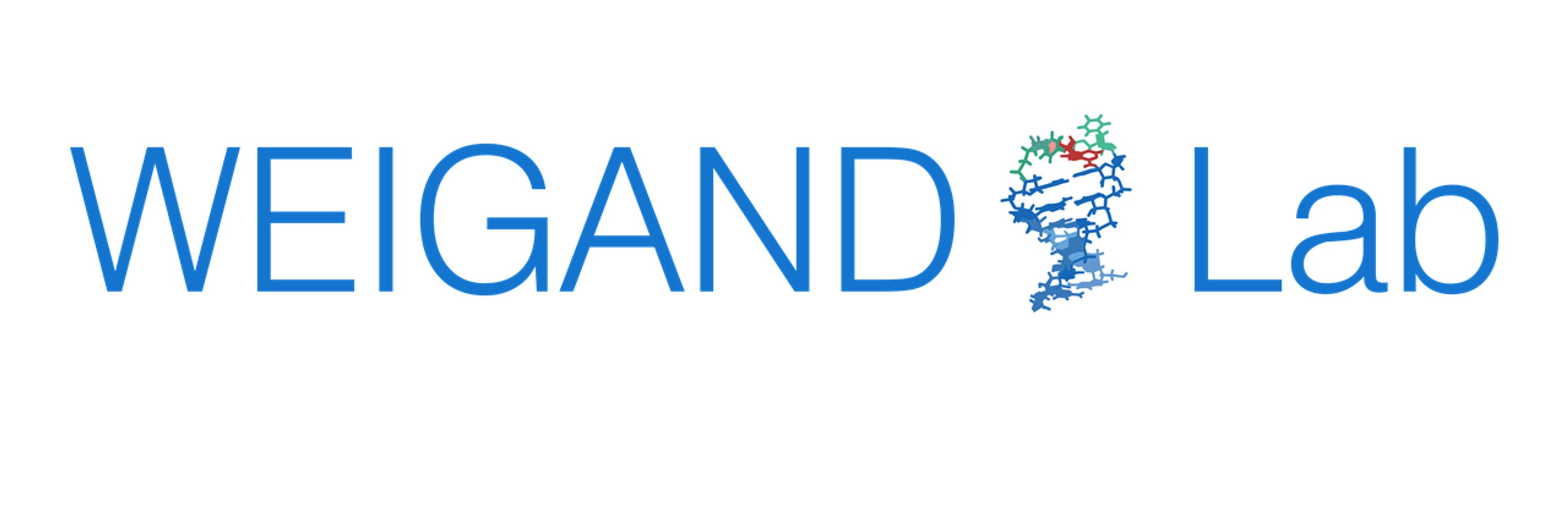 WeigandLab