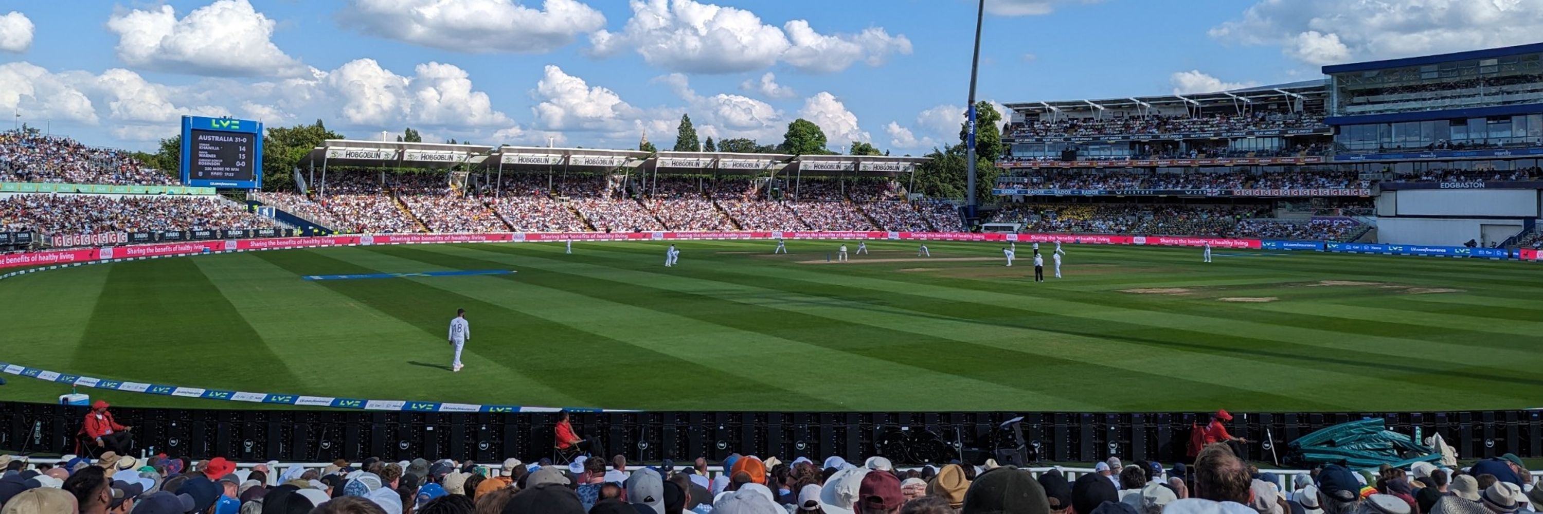 Cow Corner Jack 🐮🏏