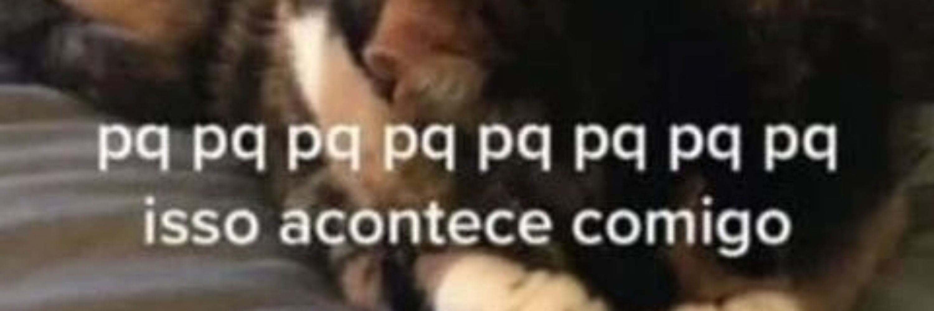 Gidzinho meio lelé²