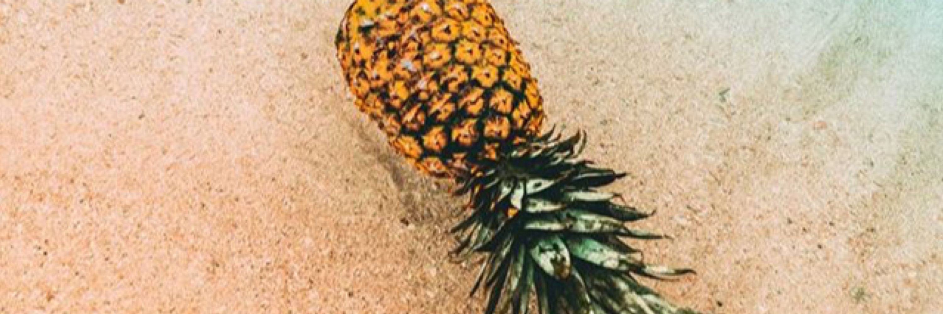 🍍모미!