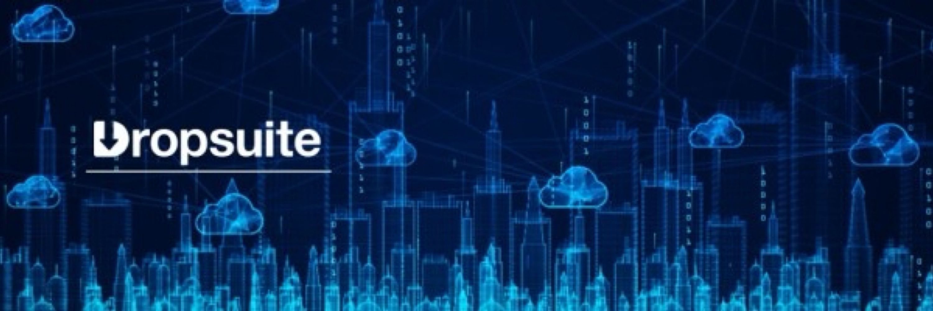 Dropsuite