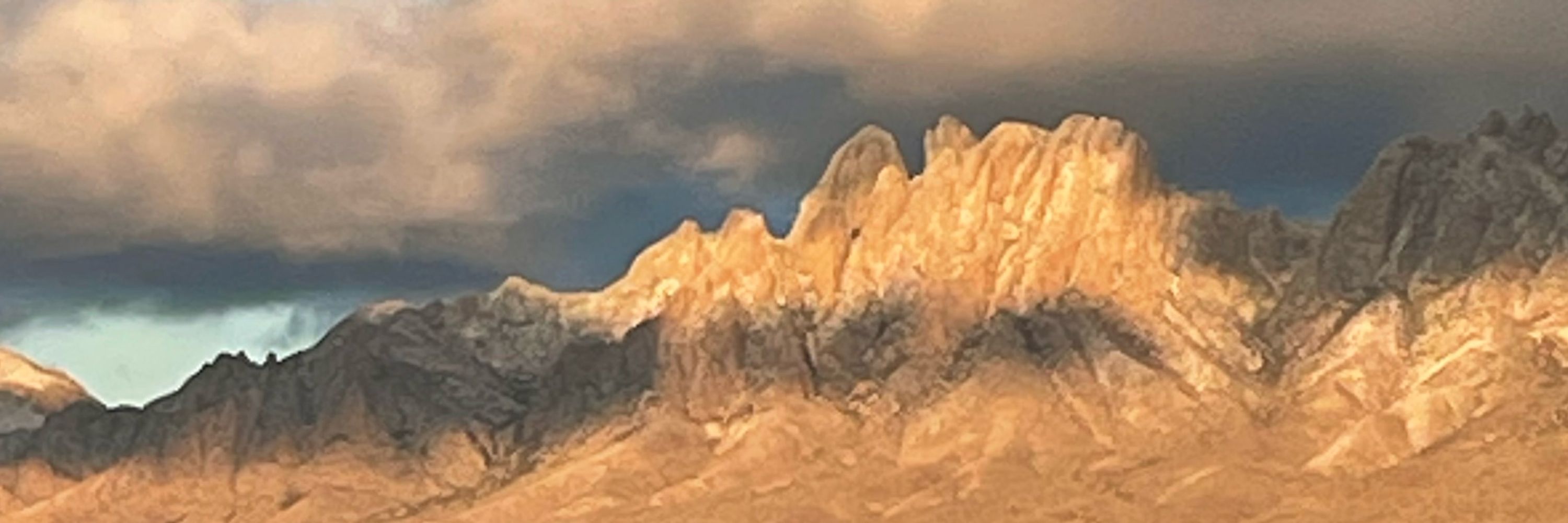 Cari