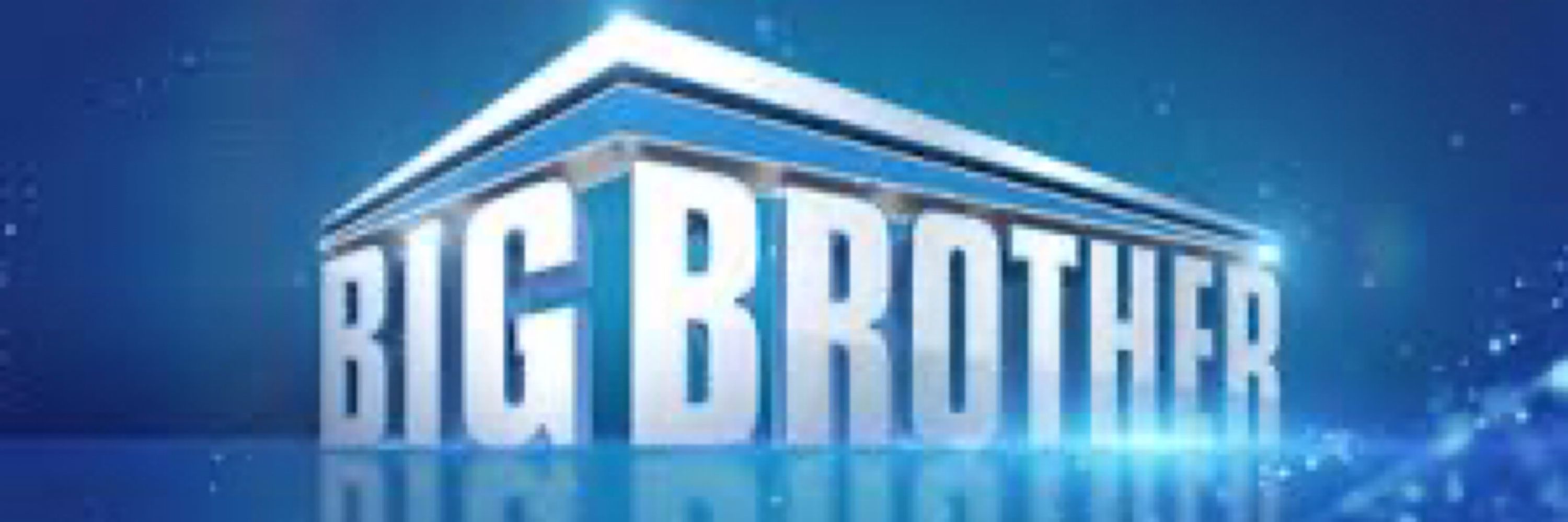 Big Brother Brain