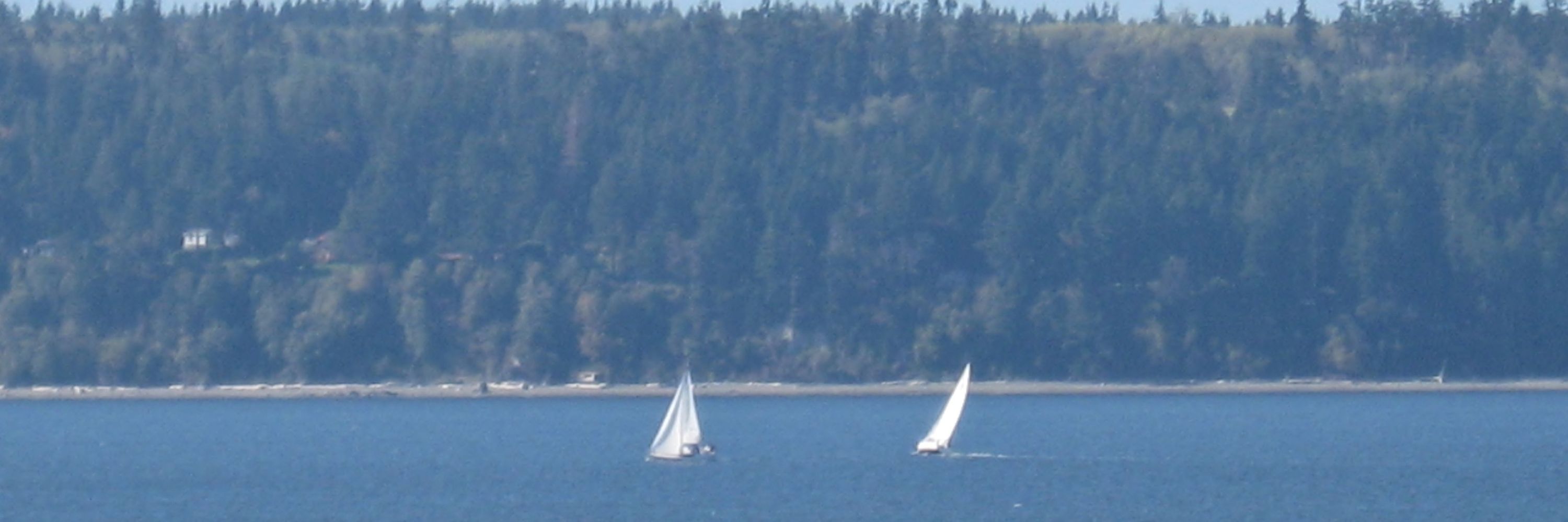 PNW Coffee Swilling Whale Watcher