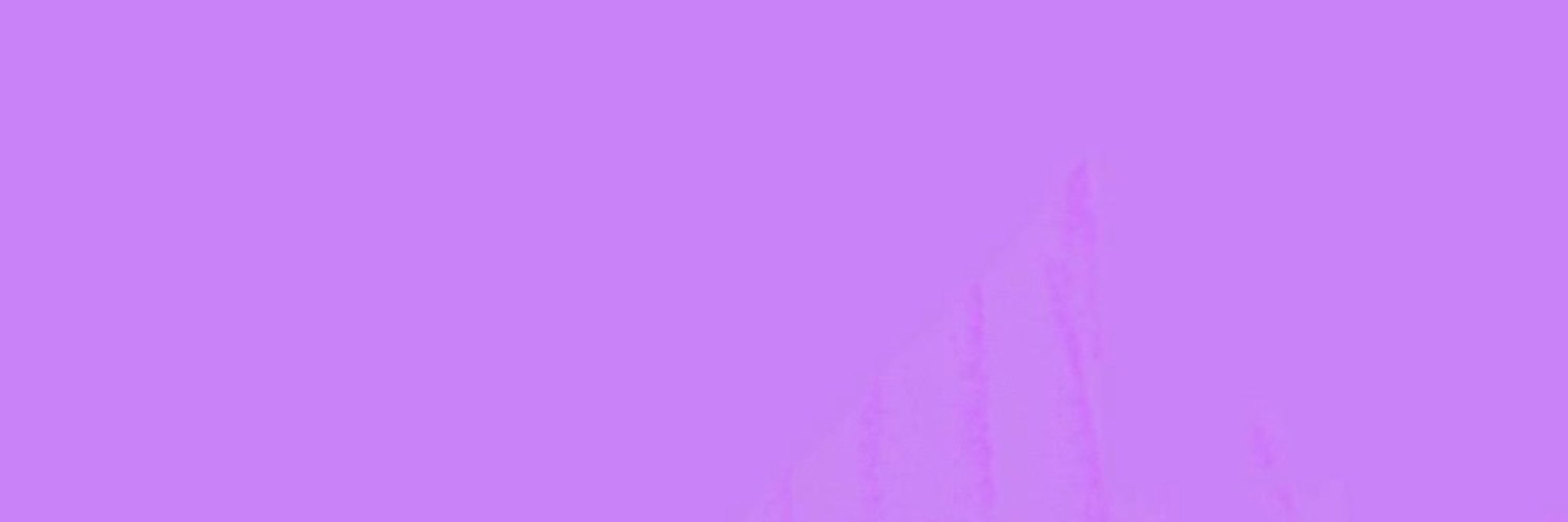 Prince Lang
