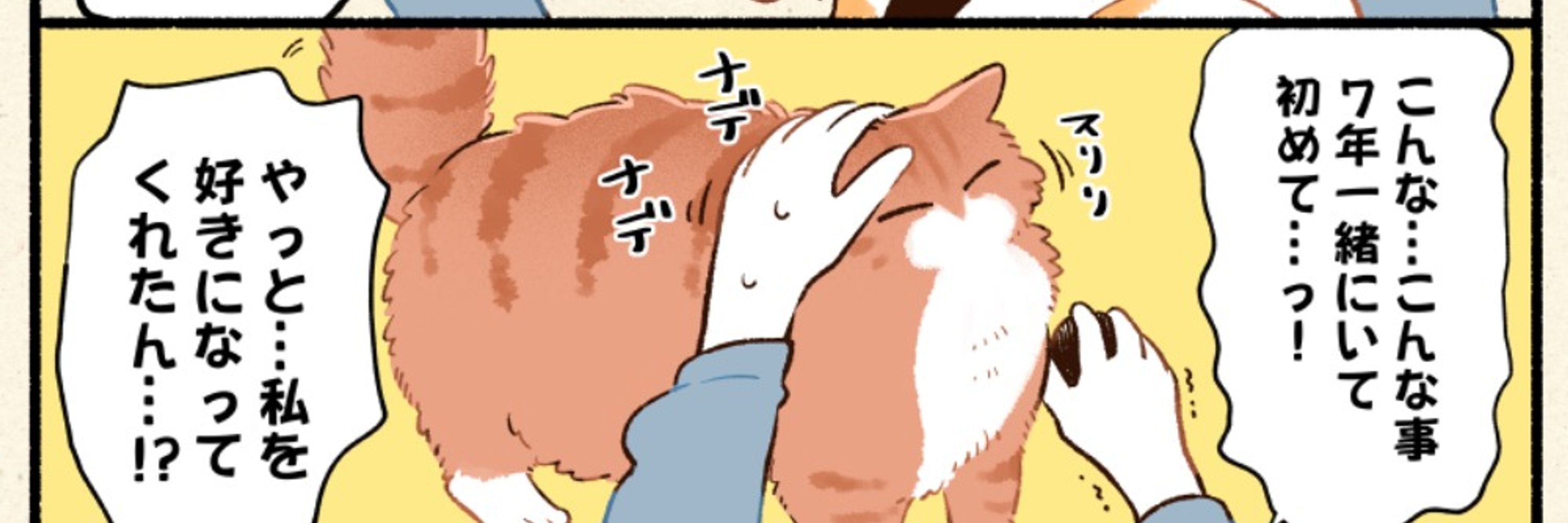 清水めりぃ