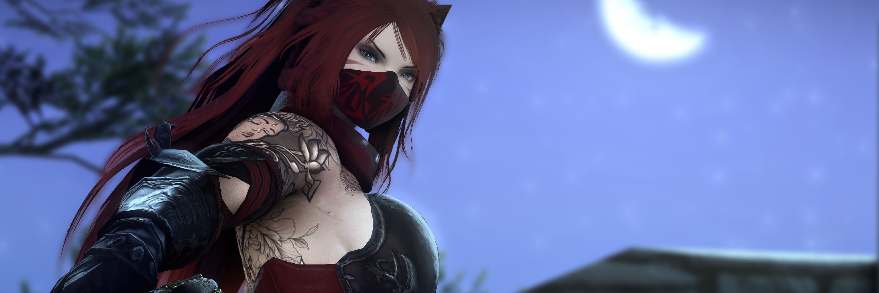 SierraXIV