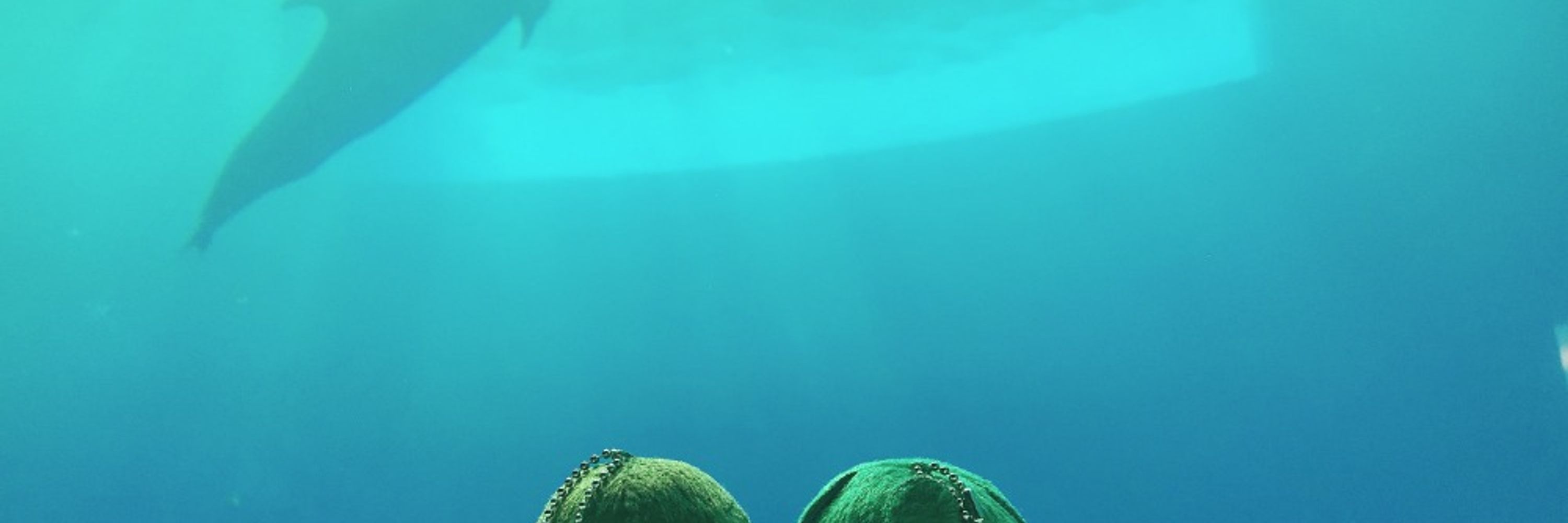 ガラクタ