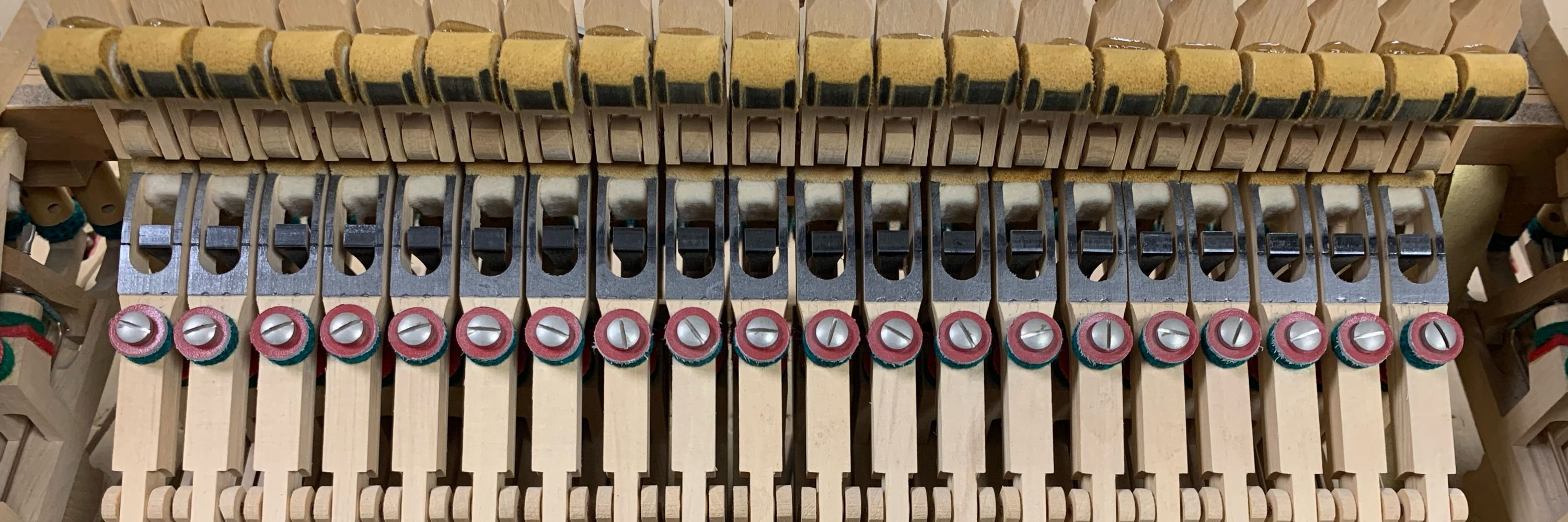 Andrew Kopp Piano Tech (Associate PTG)