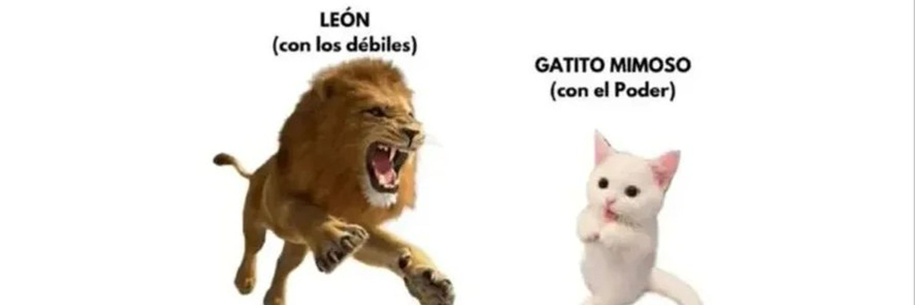 GatoLeaks