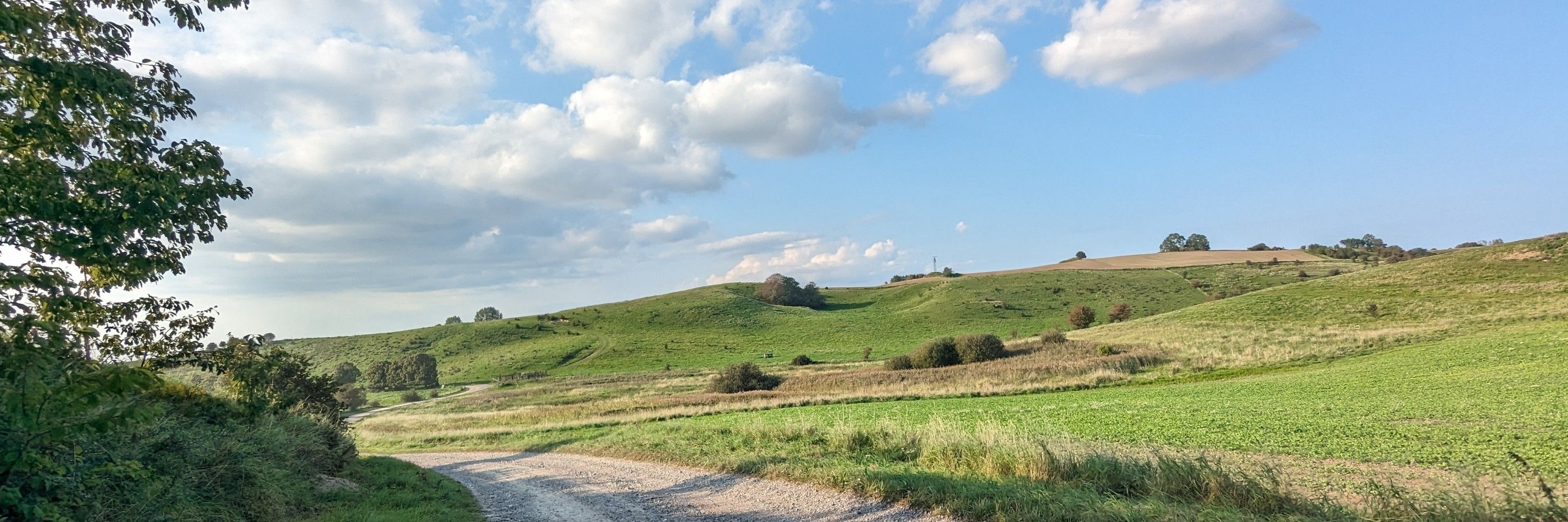 Semo