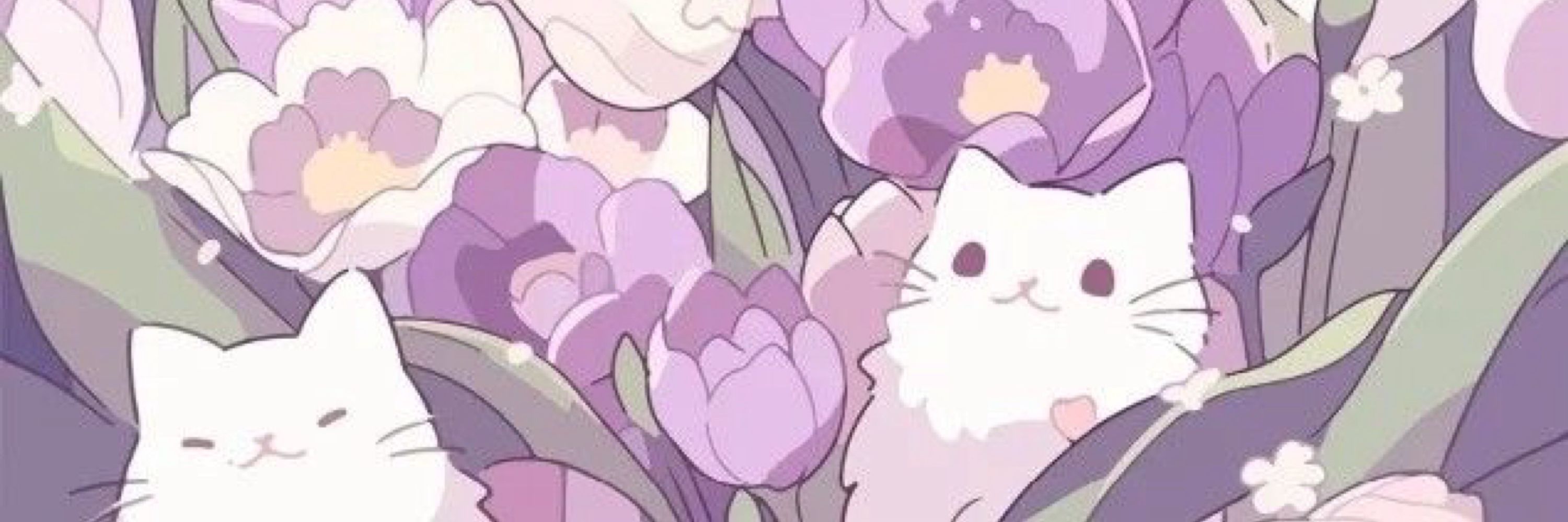 Bunnii ✨
