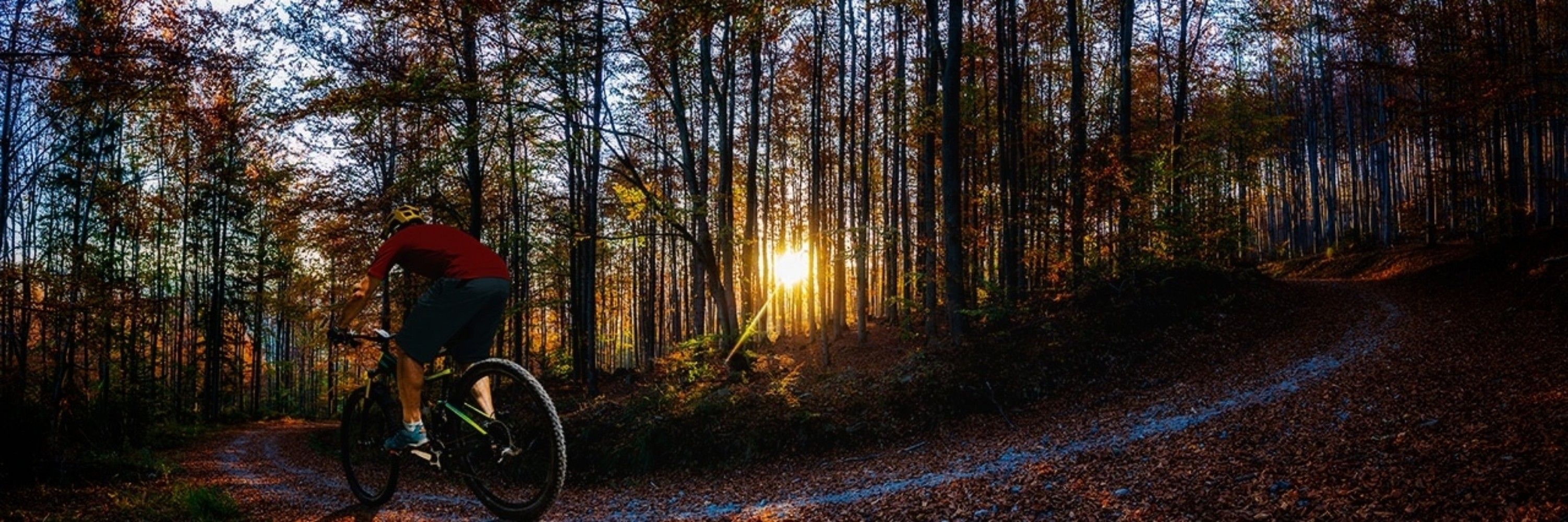 Freeride_Unleashed