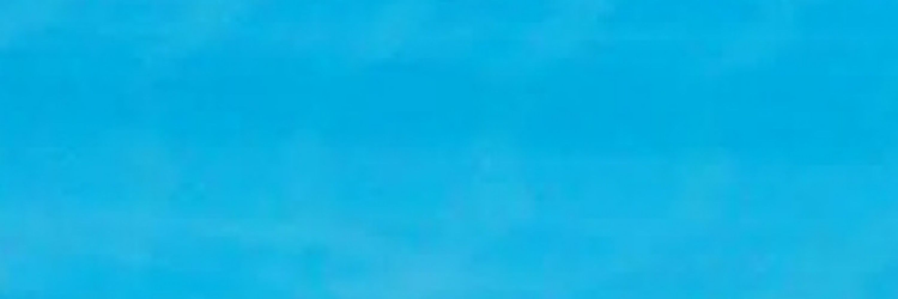 Ł