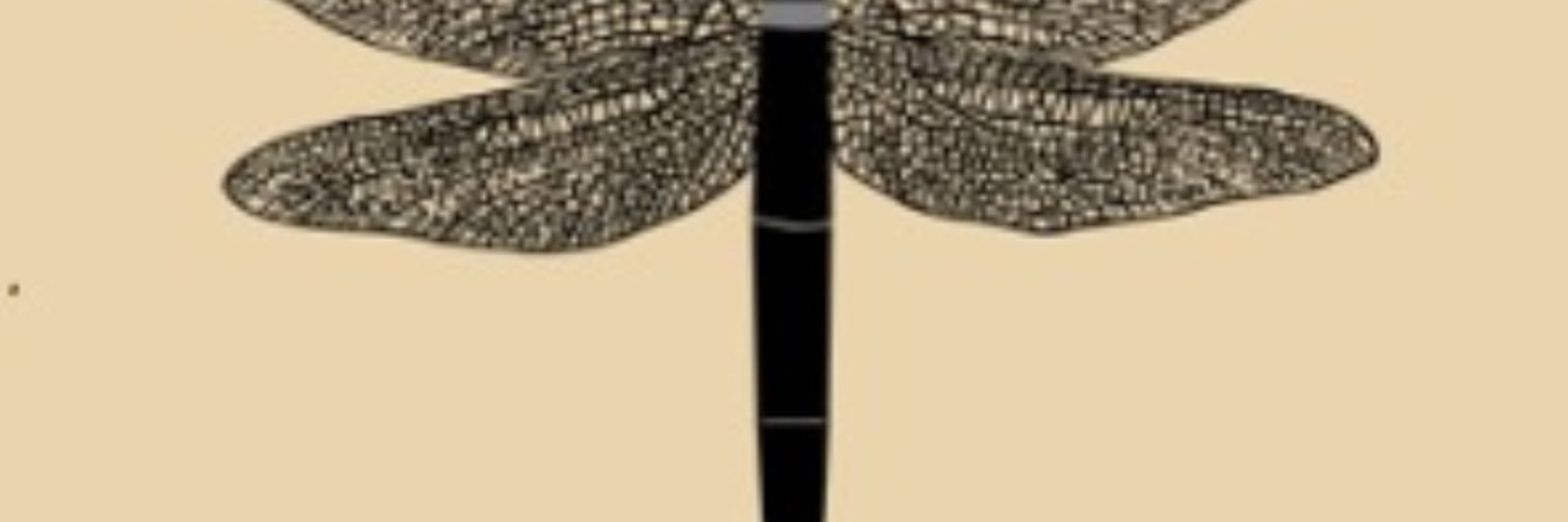 Flight of the Dragonfly