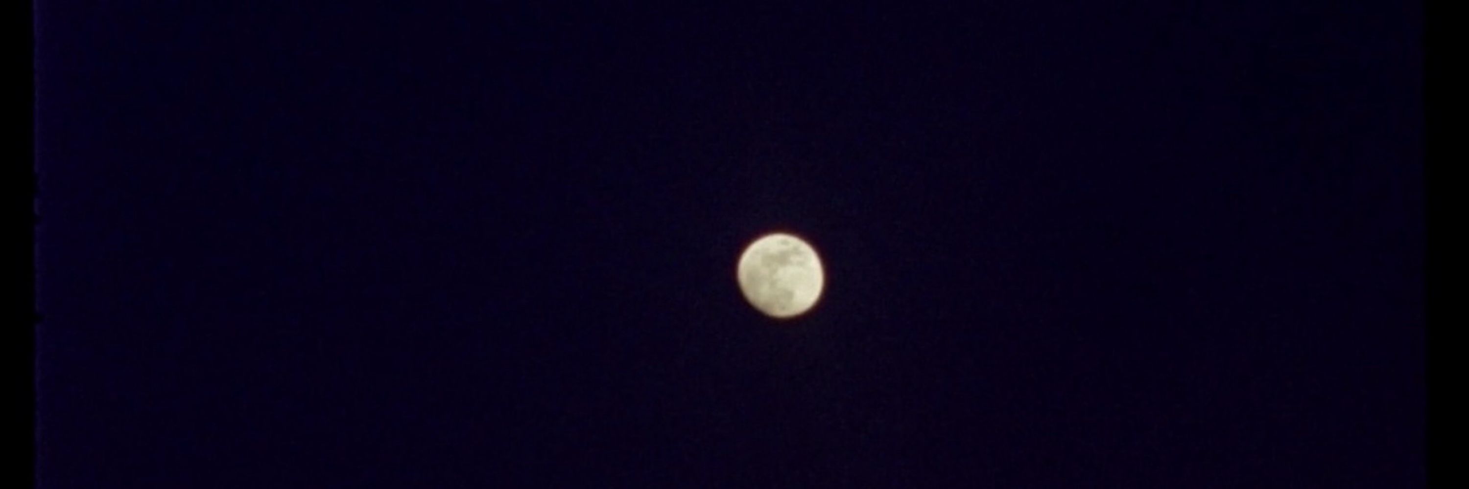 ☆ ☆ ☆ ☆ 