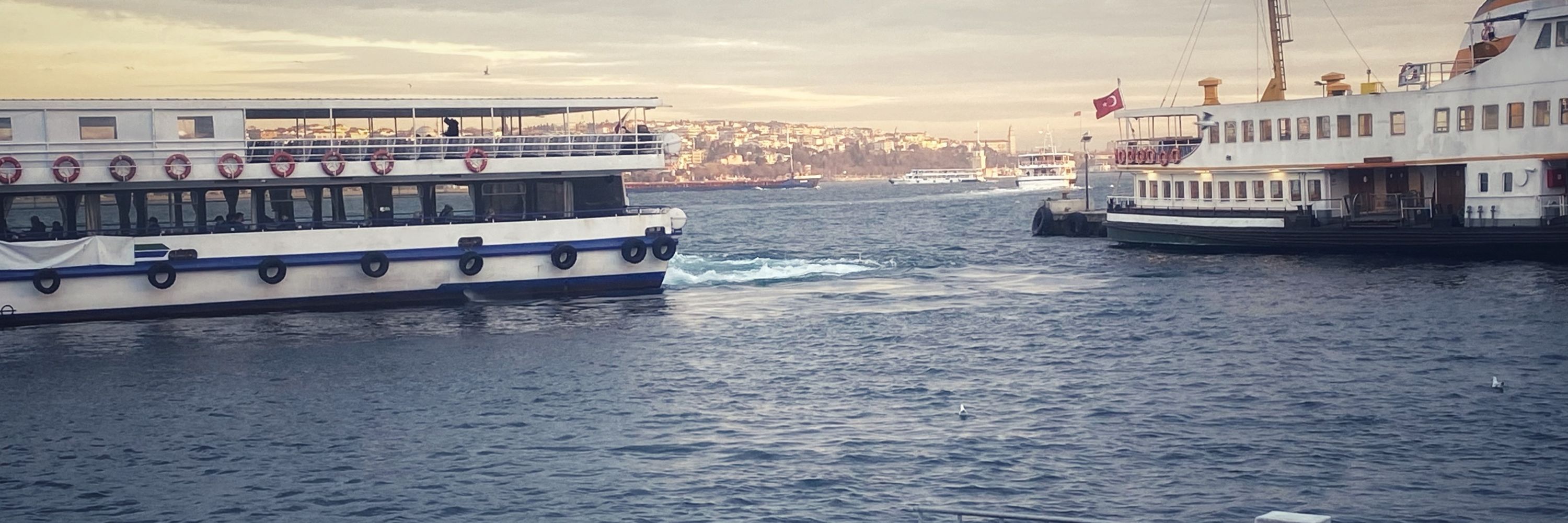 Lale Ülkü