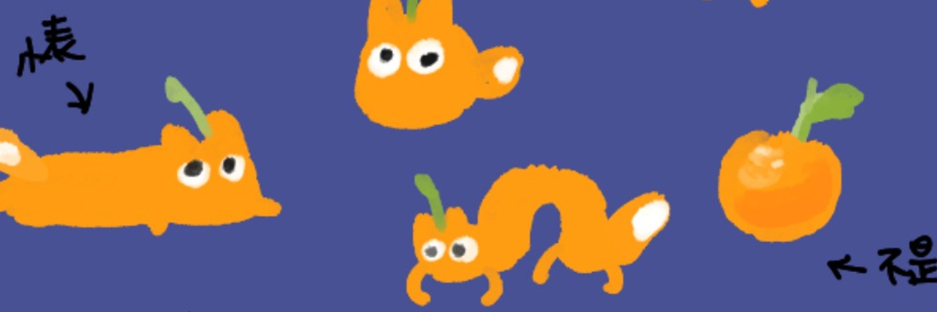 Bel