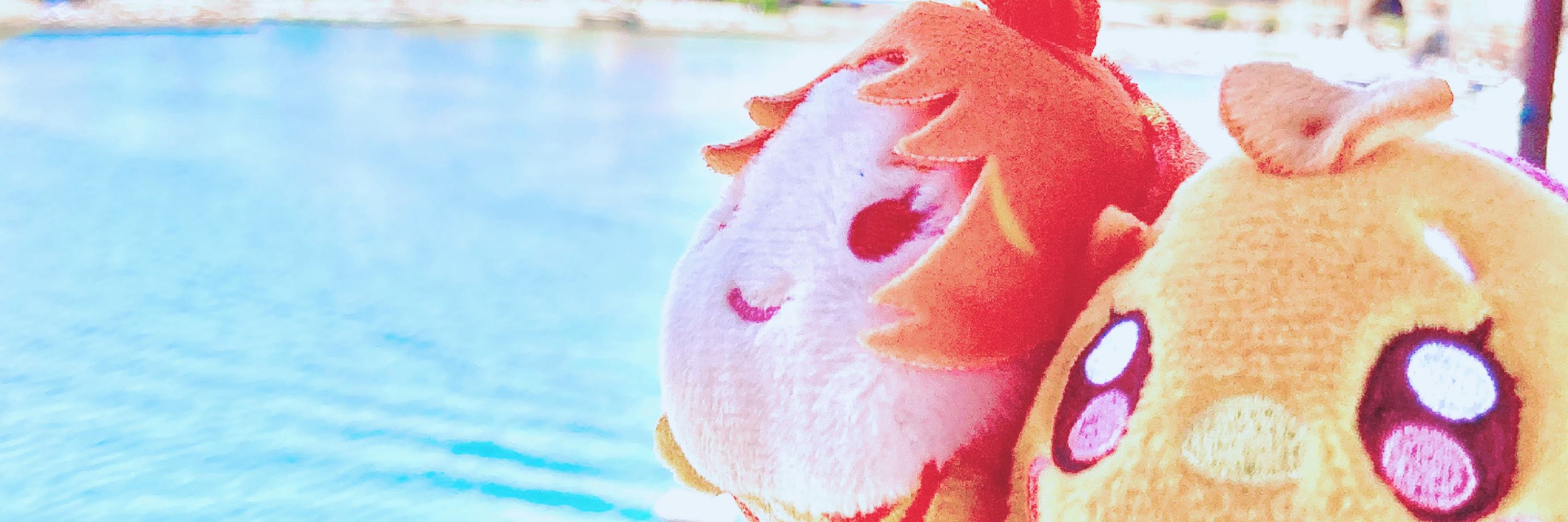 ゆのみ