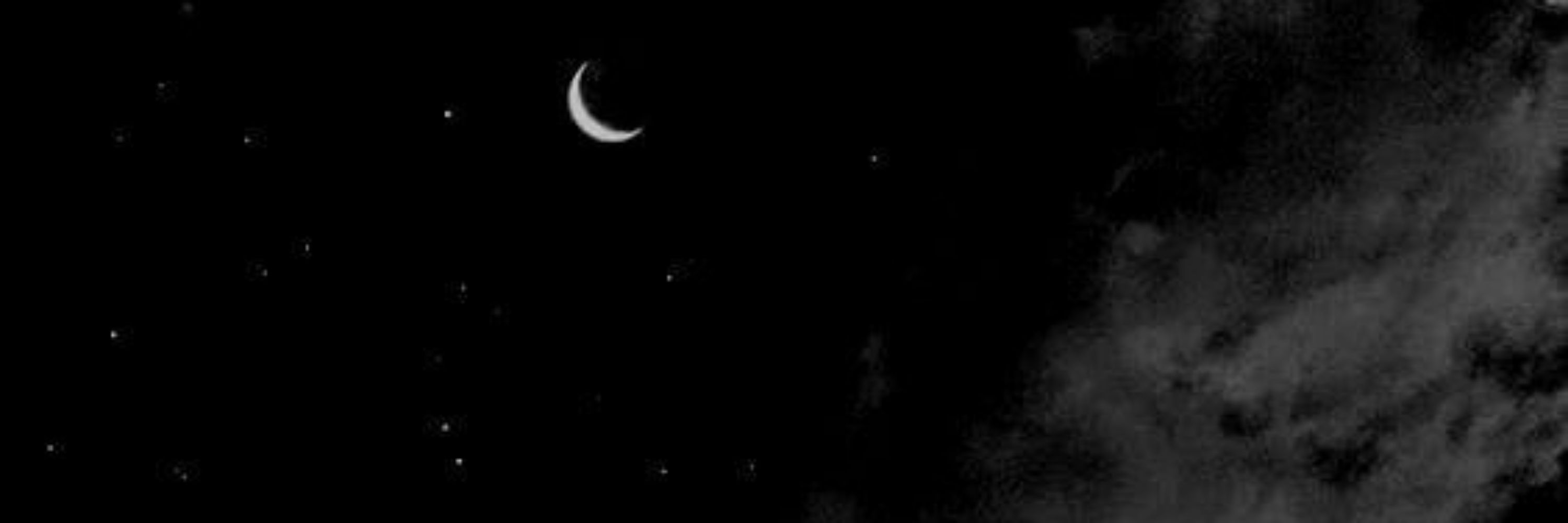 🧛🌙💜