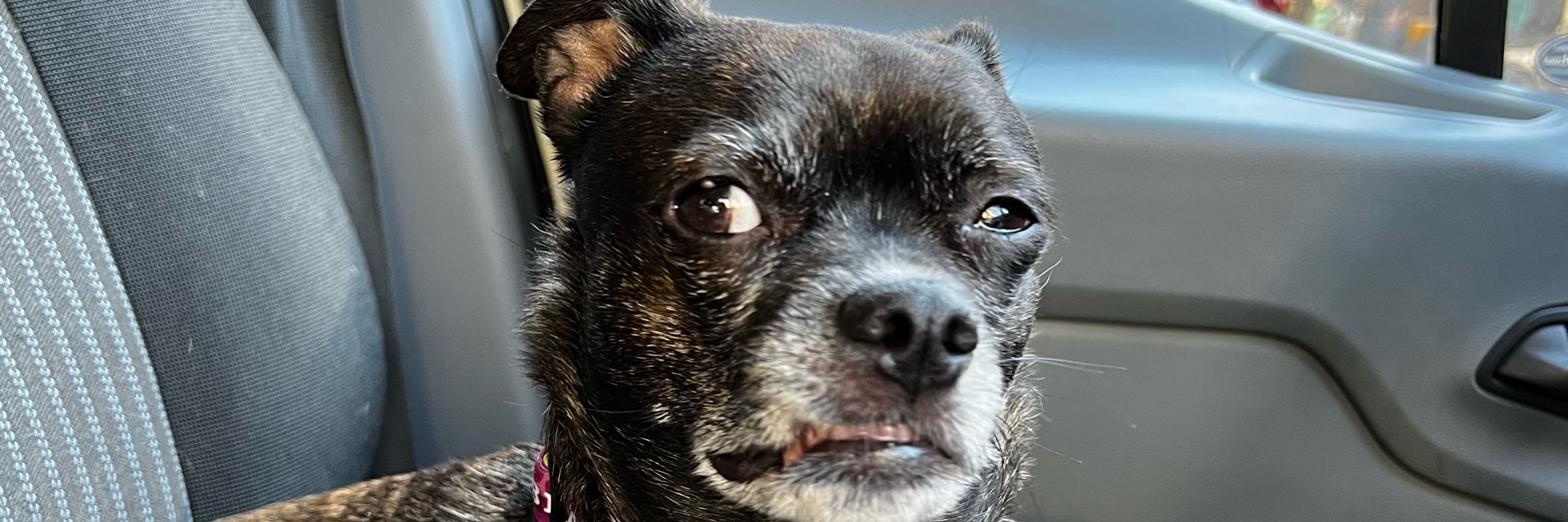 Paul