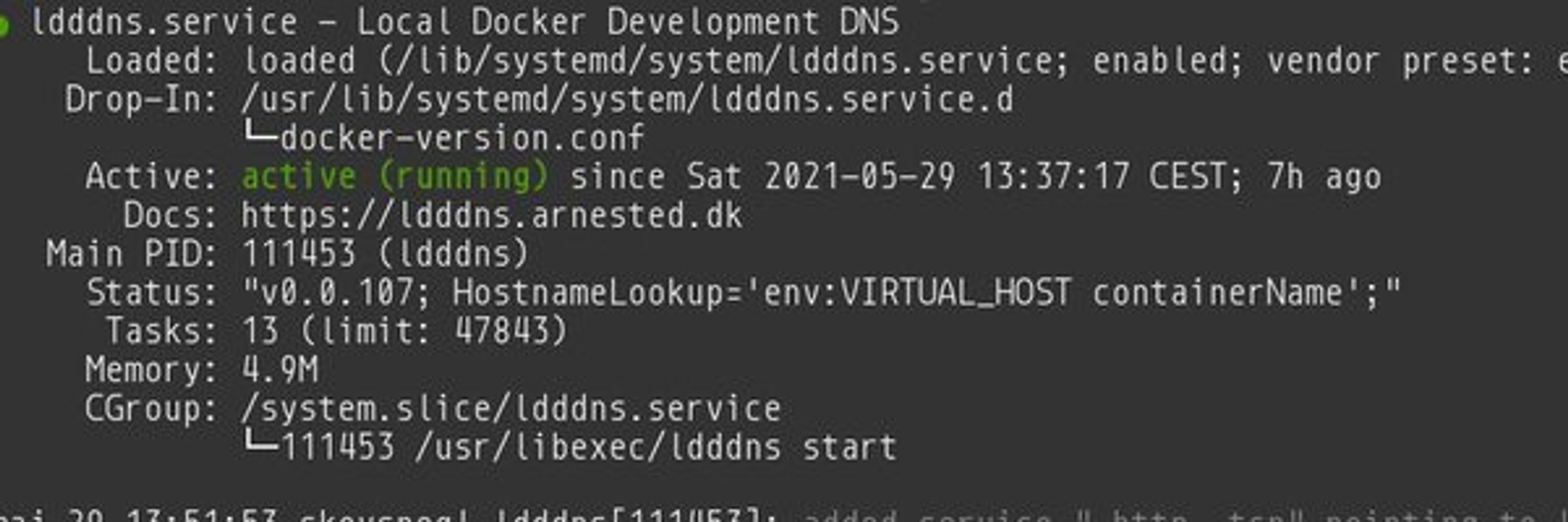 Local Docker Development DNS