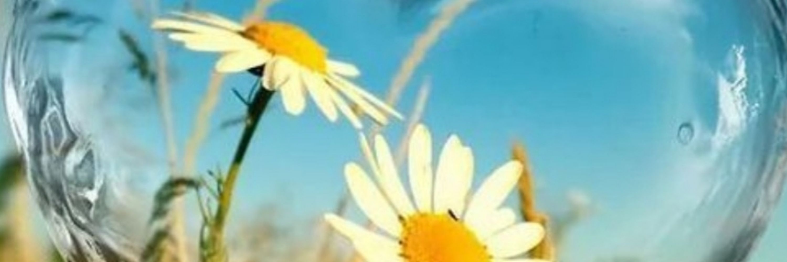 HABY 👒👗👠🌼🤍💛