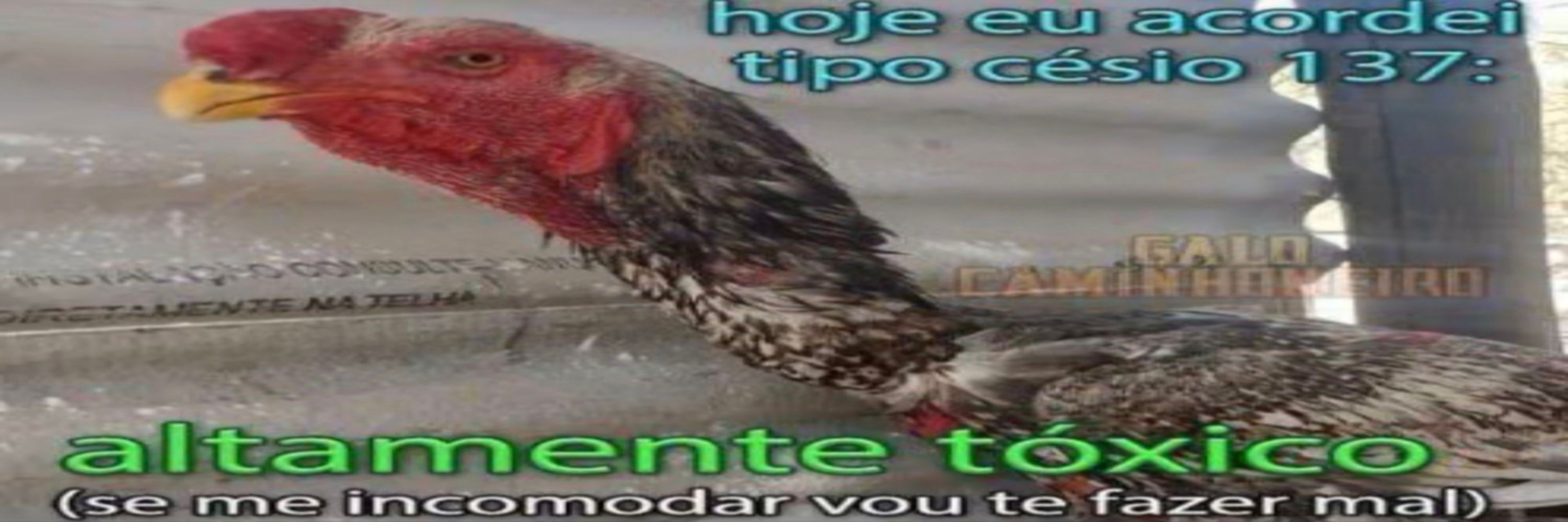 Felipe
