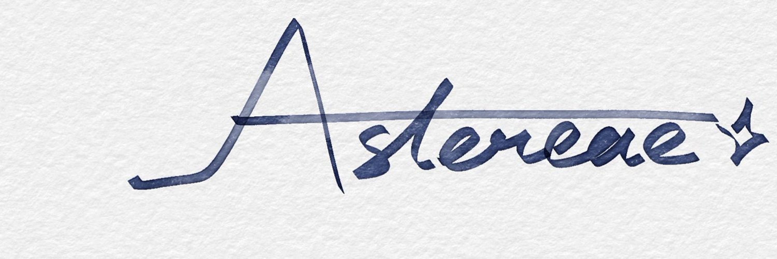 Astereae🌼