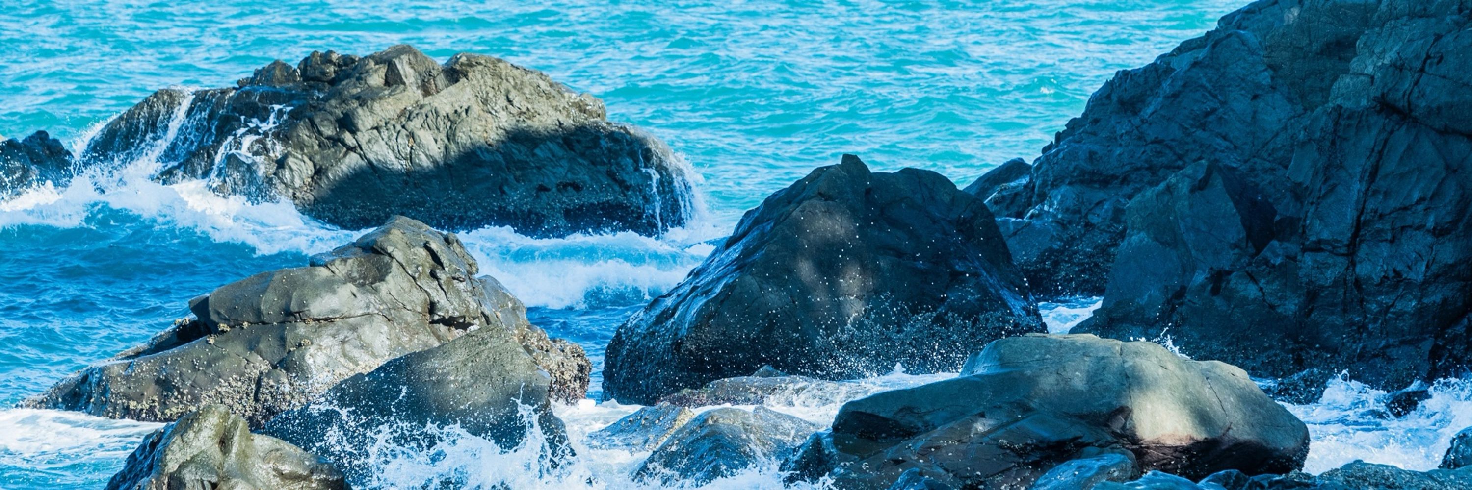 藤島