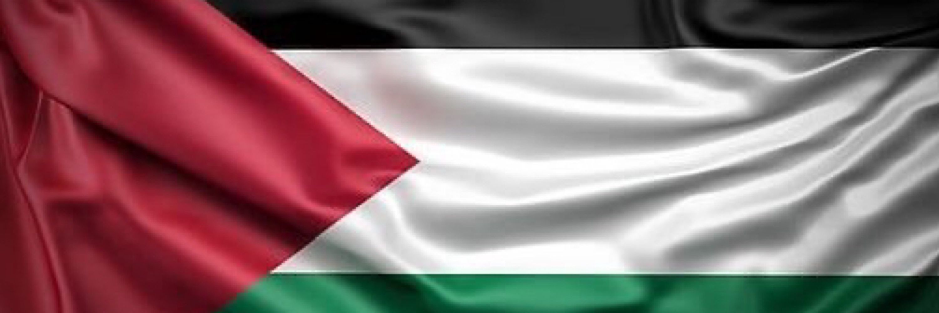 عماد داود