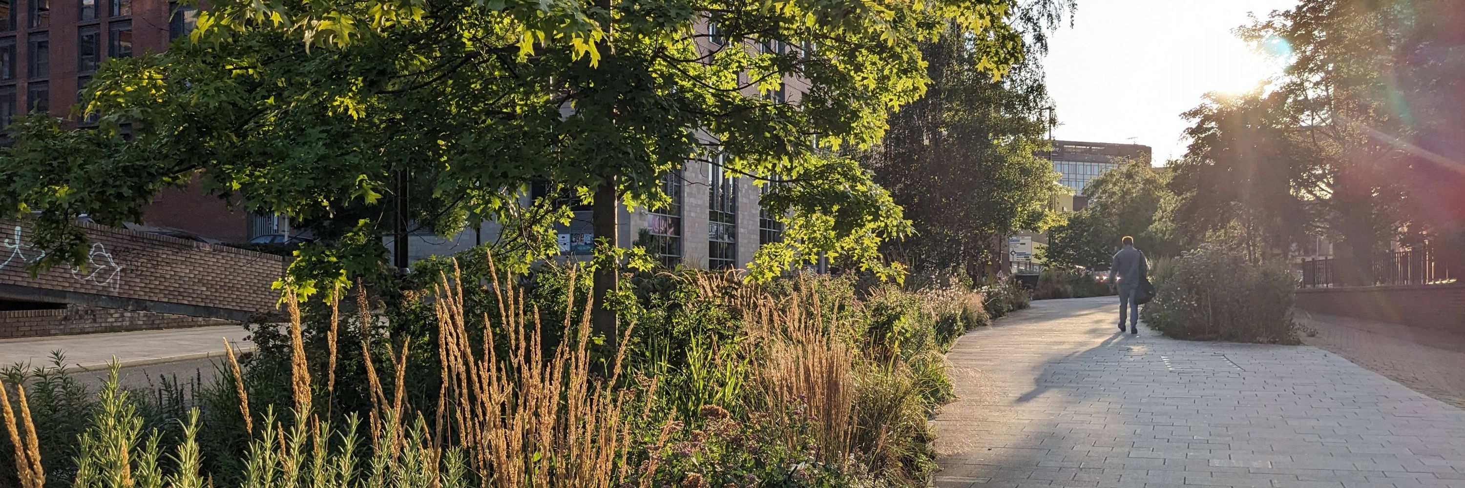 AIPH Green City