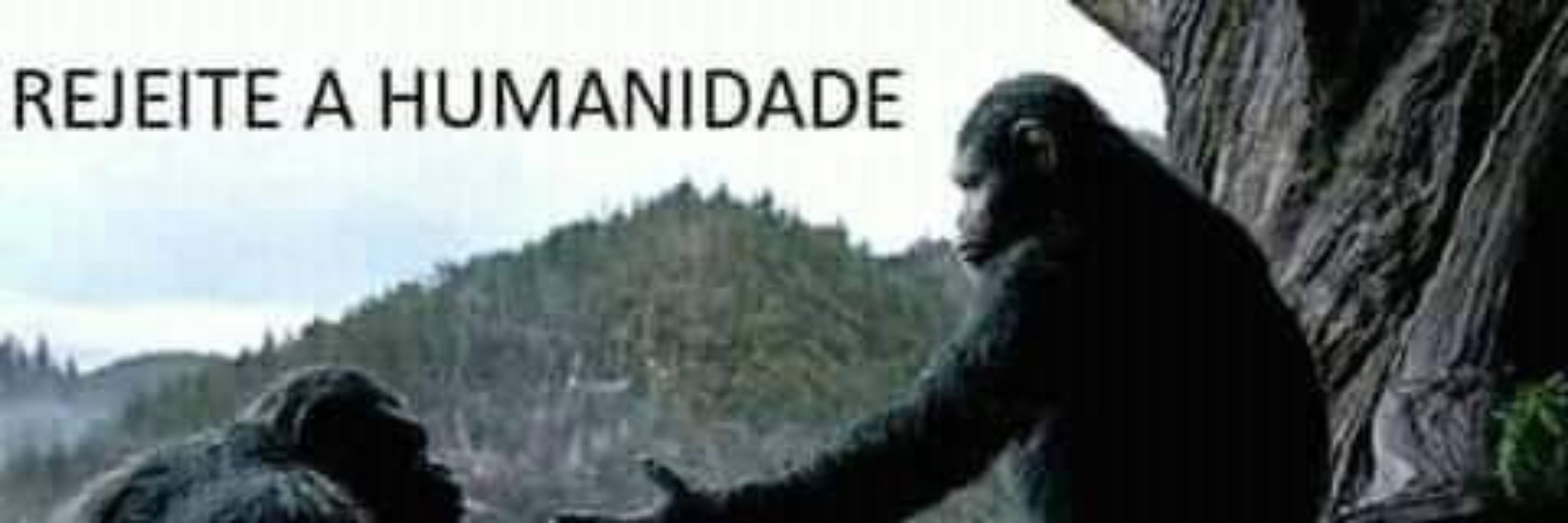 Apenas o Steve