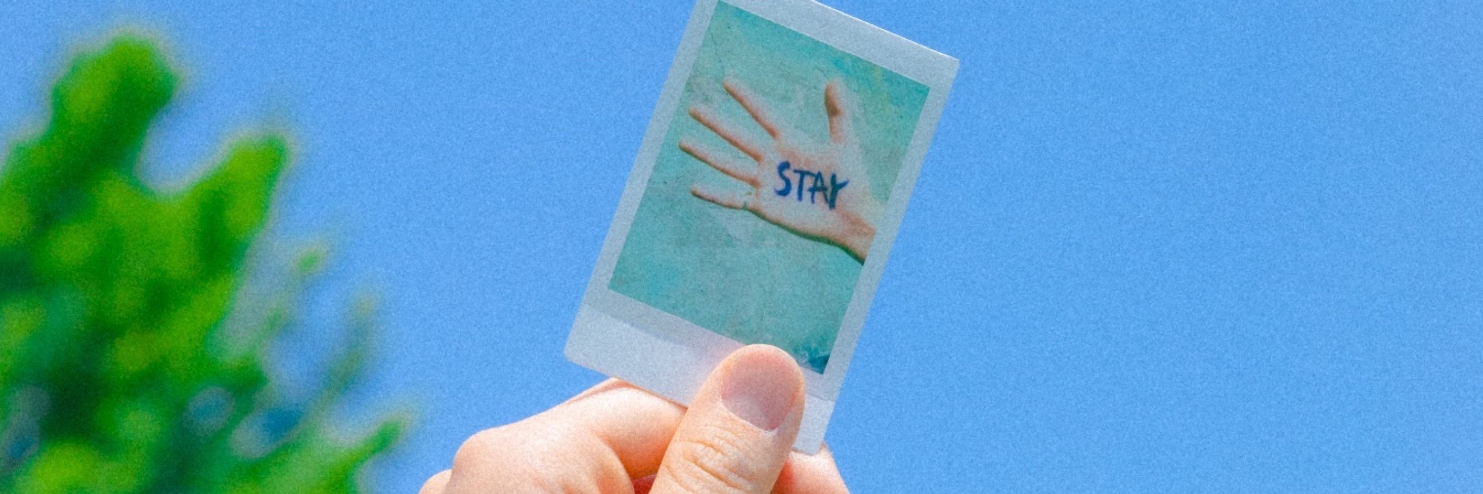 김틱헤
