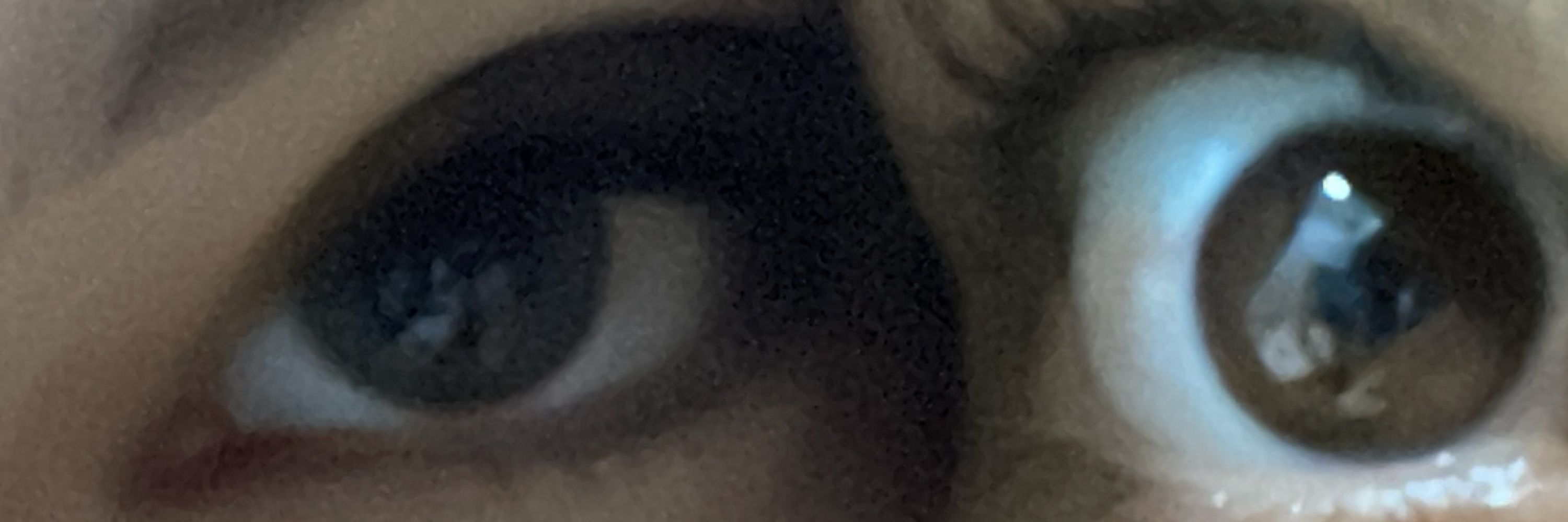 ge