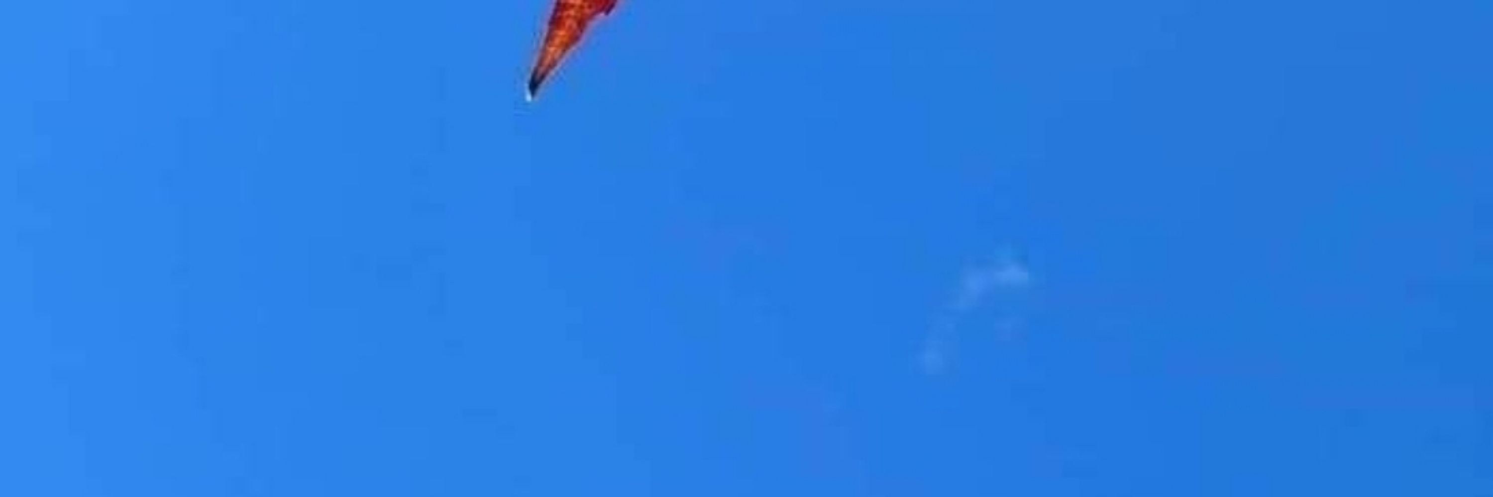 مجتهد