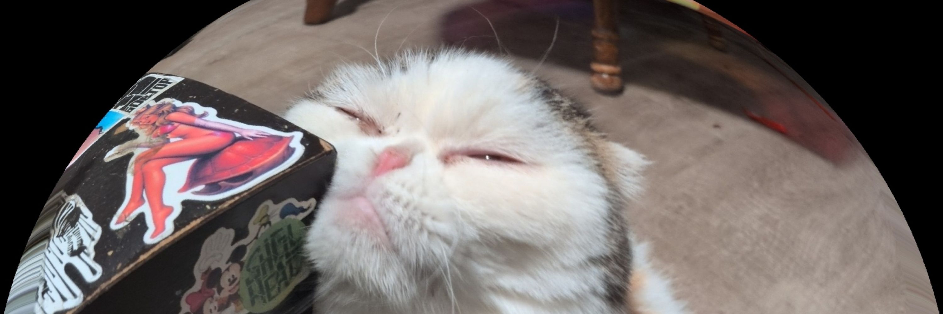 RuFi0h