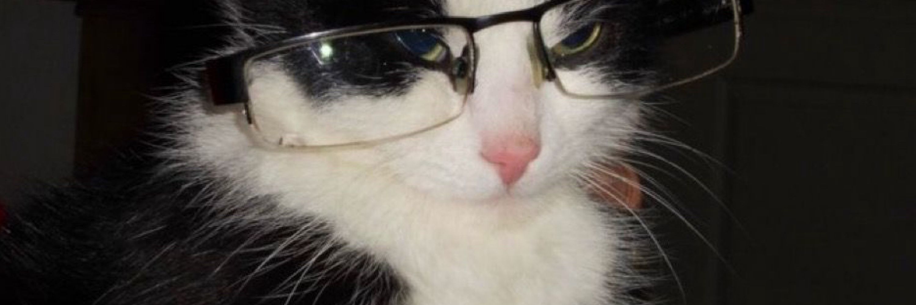 Guifufu
