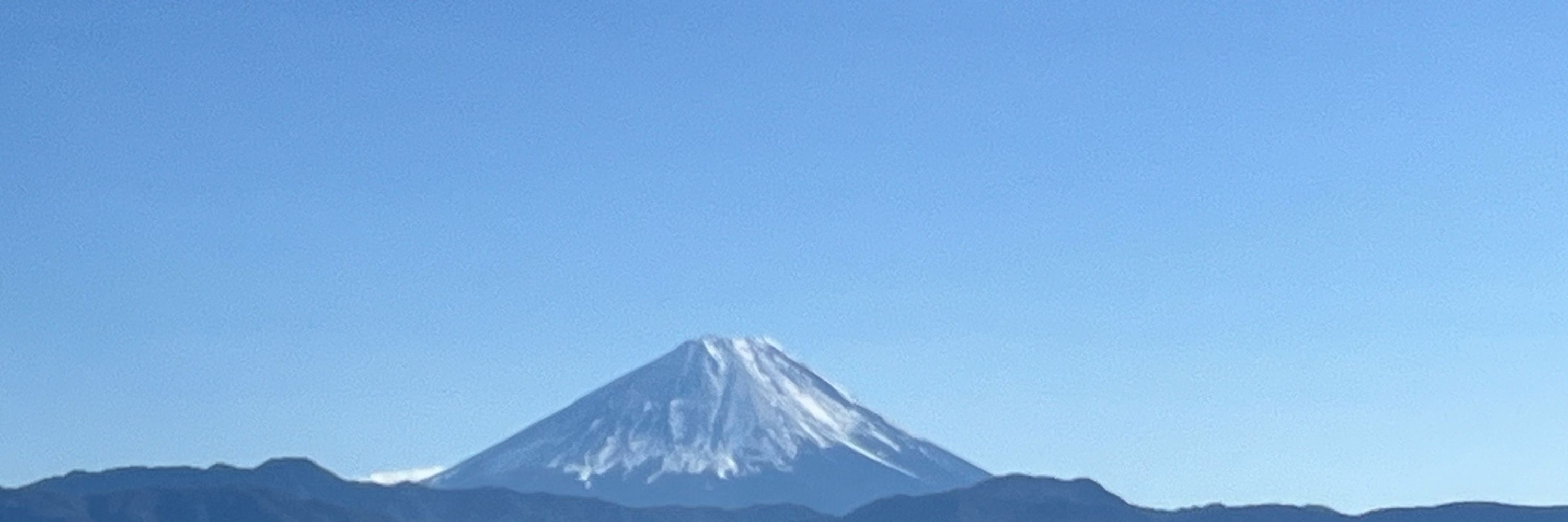 ぱんだ