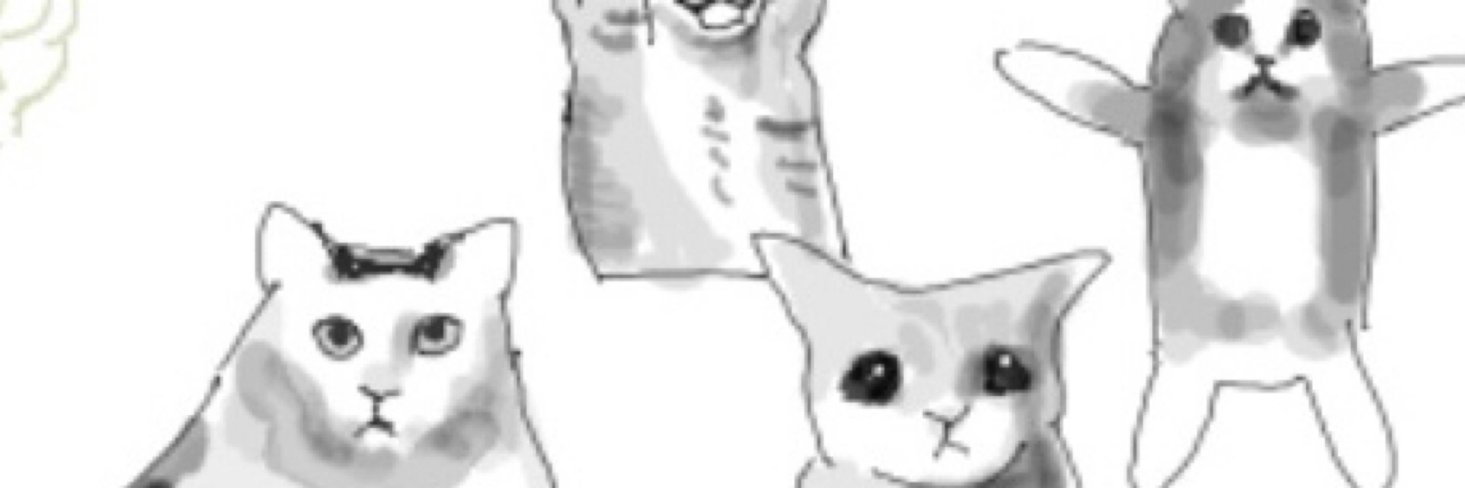 マルヨシ